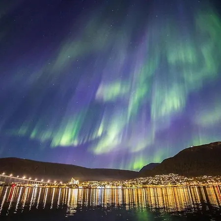 In Center Apartament